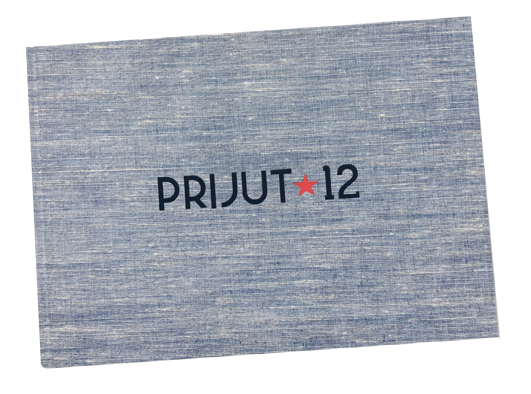 Lutz Heinrich Prijut 12 Buch transparent